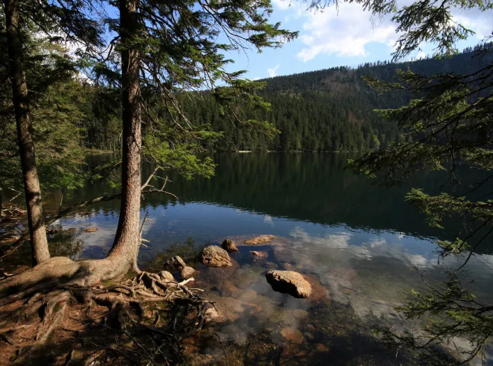 Příroda Šumava_Cerné jezero Cerné jezero14 - Jirí Koptík