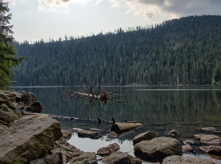 Příroda Šumava_Certovo jezero01 - AFORTI IT